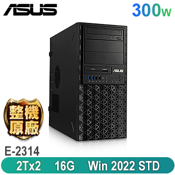 TS100-E11-PI4 <br>直立式伺服器