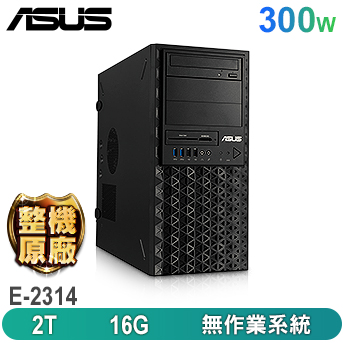 TS100-E11-PI4 <br>直立式伺服器